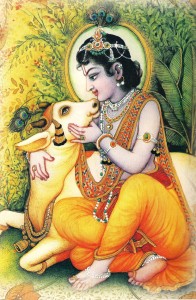 Krishna with cow