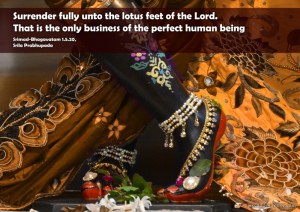 Quotes-by-Srila-Prabhupada-on-Only-Business-of-The-Perfect-Human-Being
