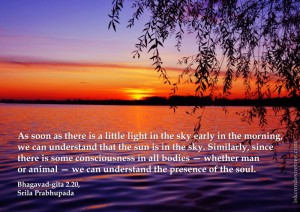 Quotes-by-Srila-Prabhupada-on-Presence-of-The-Soul